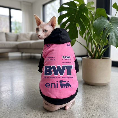 Sphynx cat wearing Alpine 2025 BWT F1 pink and black pet hoodie back view indoors