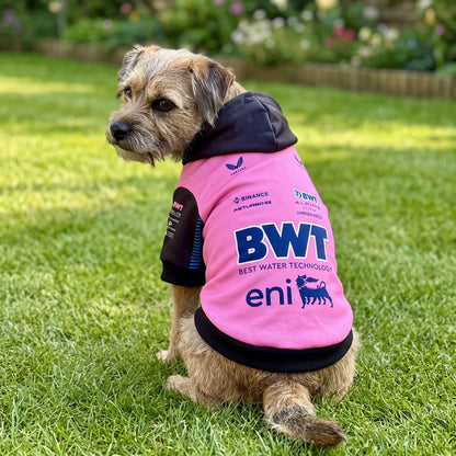 Border terrier wearing Alpine 2025 BWT F1 pink pet hoodie outdoors on grass side view