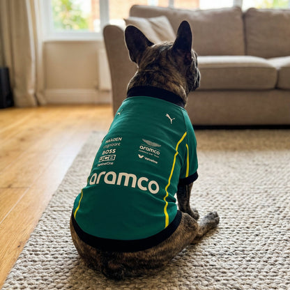 Brindle French bulldog wearing green Aston Martin Aramco F1 dog shirt back view with aramco logo