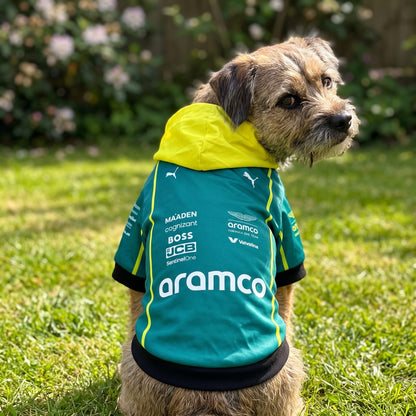 Border terrier wearing Aston Martin 2025 pet hoodie outdoors, green and yellow F1 dog hoodie back view