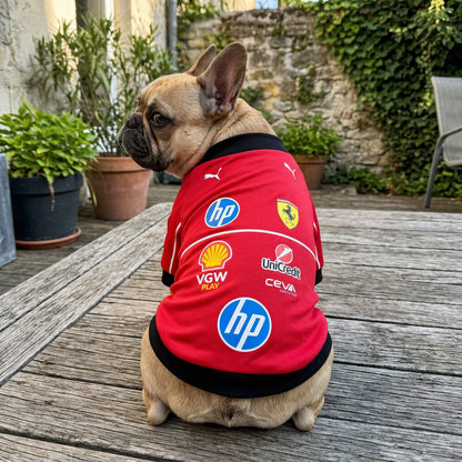 French bulldog in red Ferrari 2025 F1 pet jersey sitting outdoors on garden deck back view