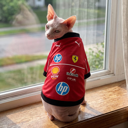 Sphynx cat wearing red Ferrari 2025 F1 pet jersey back view on sunny windowsill with sponsor logos