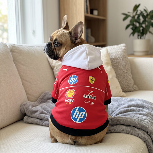 French bulldog wearing Ferrari 2025 pet hoodie back view with HP Shell and Ferrari team logos on couch