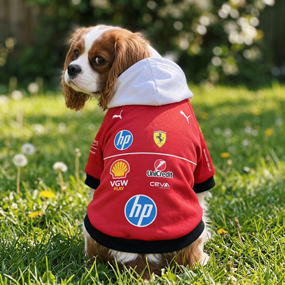 Cavalier spaniel wearing Ferrari 2025 pet hoodie back view on grass with HP Shell and Ferrari logos
