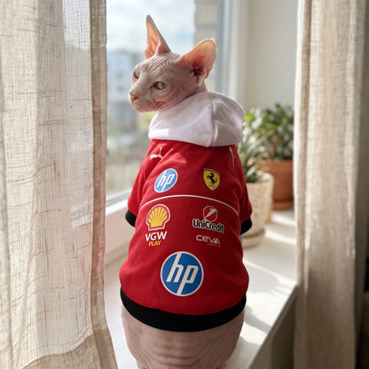 Sphynx cat wearing Ferrari 2025 pet hoodie back view at window with HP Shell and Ferrari team logos