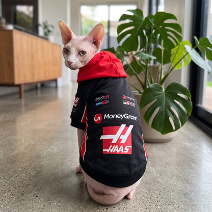 Border terrier wearing Haas 2025 pet hoodie back view with red hood in garden looking over shoulder