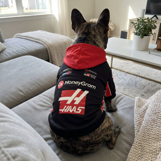 French bulldog wearing Haas 2025 pet hoodie back view with red hood and MoneyGram HAAS logos on couch
