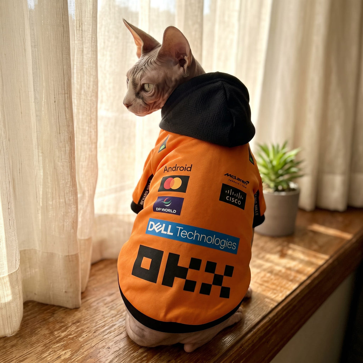 Sphynx cat wearing orange McLaren 2025 F1 pet hoodie on windowsill back view with OKX and Dell logos