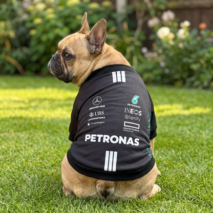 French bulldog wearing Mercedes 2025 AMG Petronas F1 pet shirt outdoors in garden back view
