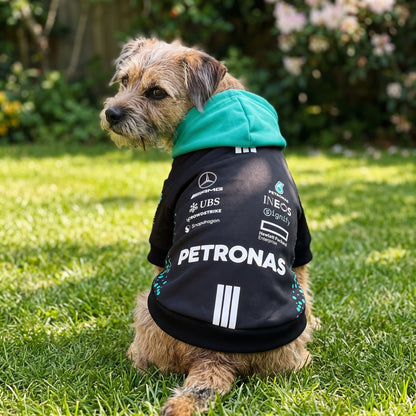 Border terrier wearing Mercedes Petronas F1 pet hoodie outdoors on grass side back view