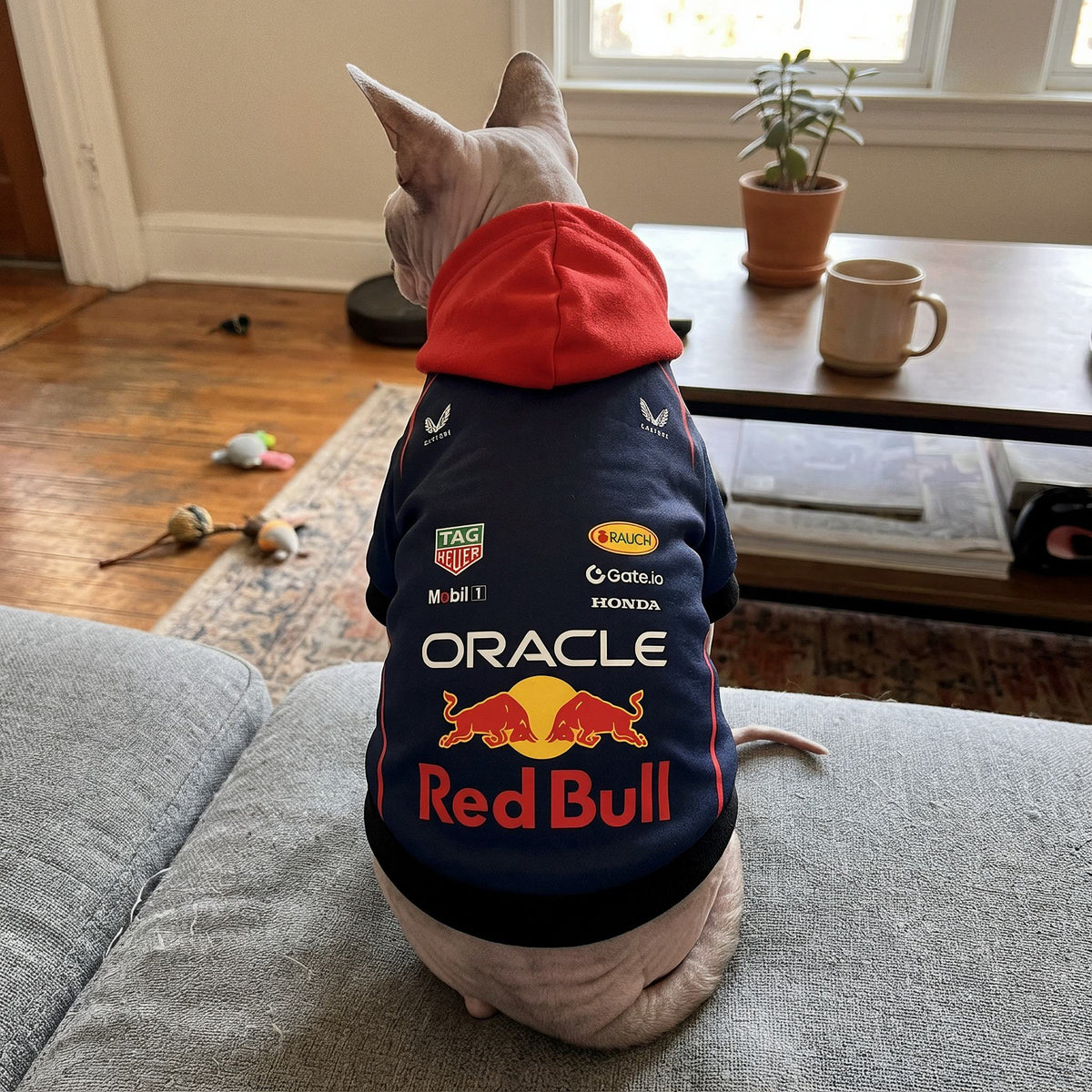 Sphynx cat wearing the Red Bull Racing pet hoodie on a grey sofa - back view showing the red hood and Red Bull logo