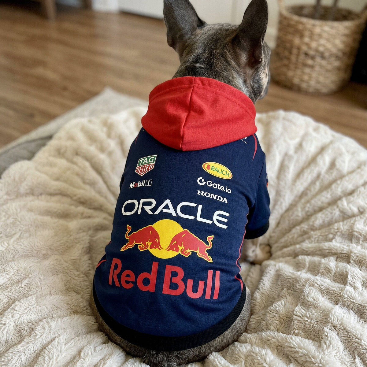 French Bulldog wearing the Red Bull Racing dog hoodie on a cream pet bed - back view with red hood and 2025 F1 sponsor logos
