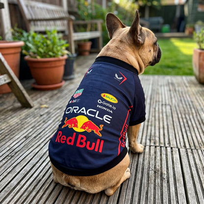 French bulldog outdoors on decking wearing Red Bull Racing pet shirt navy F1 dog jersey with sponsor back print