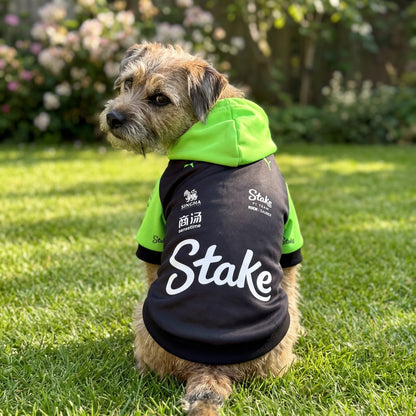 Border terrier wearing Stake F1 Sauber pet hoodie in garden showing white Stake logo on back