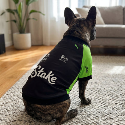 French bulldog in living room wearing Stake F1 2025 pet shirt back view with Stake logo