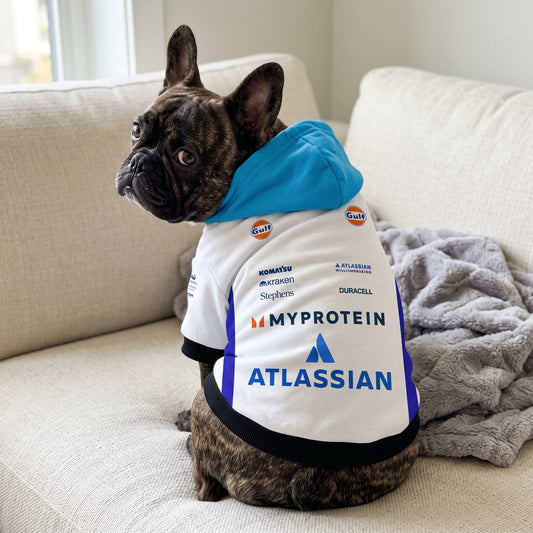 French bulldog wearing Williams Racing 2025 pet hoodie back view with Atlassian and Gulf sponsor logos